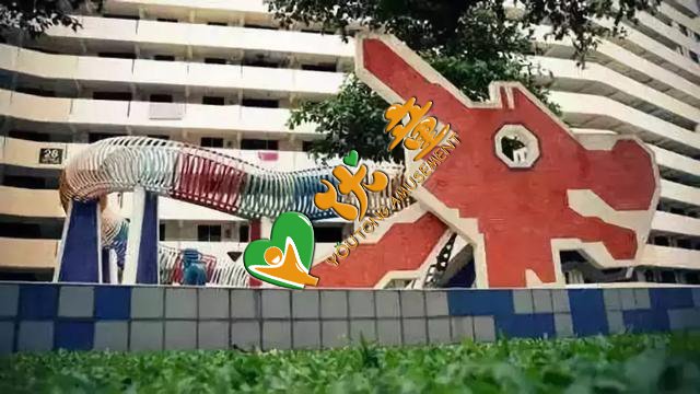 新加坡大巴窑游乐场(LONGRONG 6).png